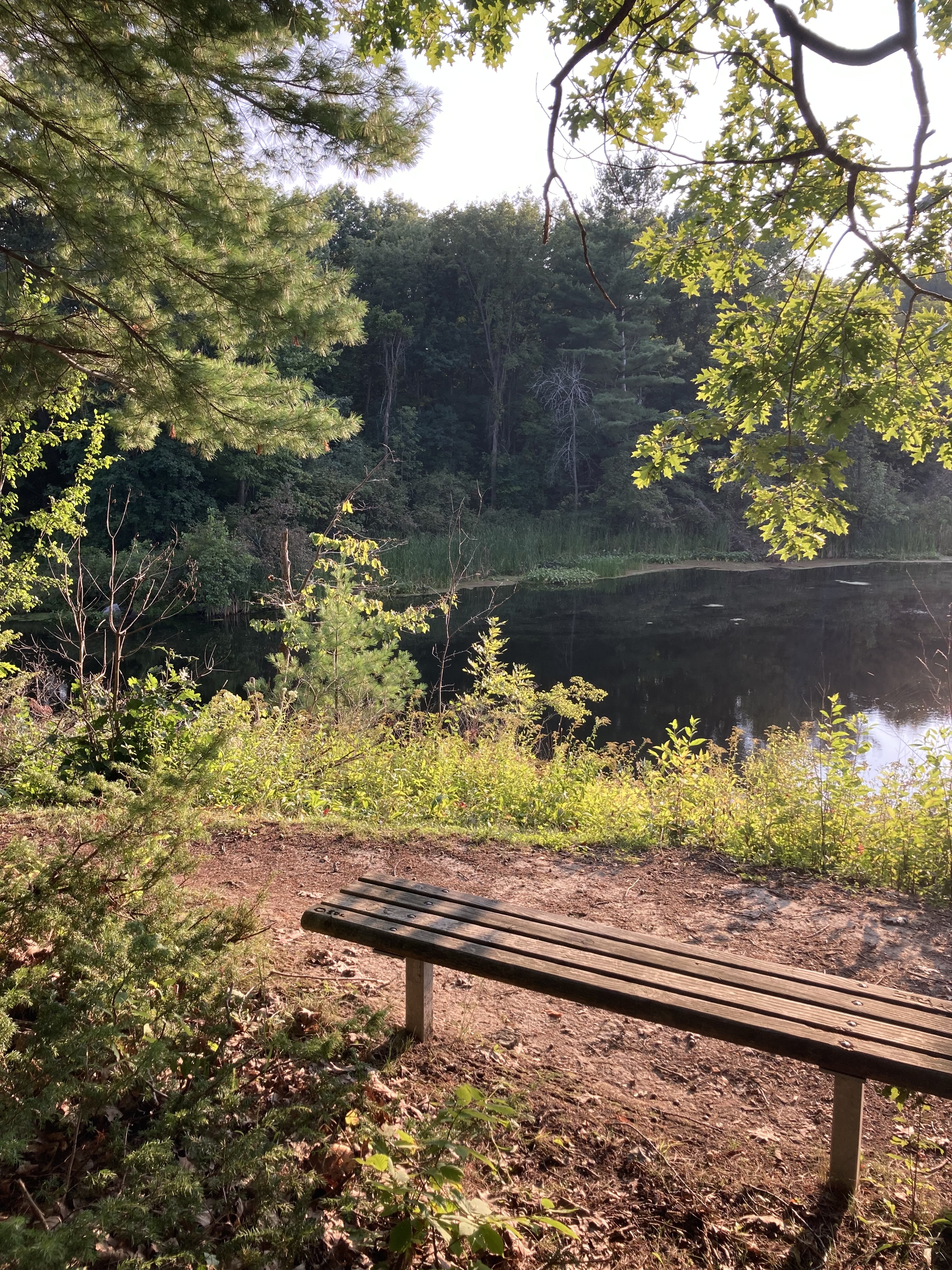 The Narrows Loop trail, Gananoque