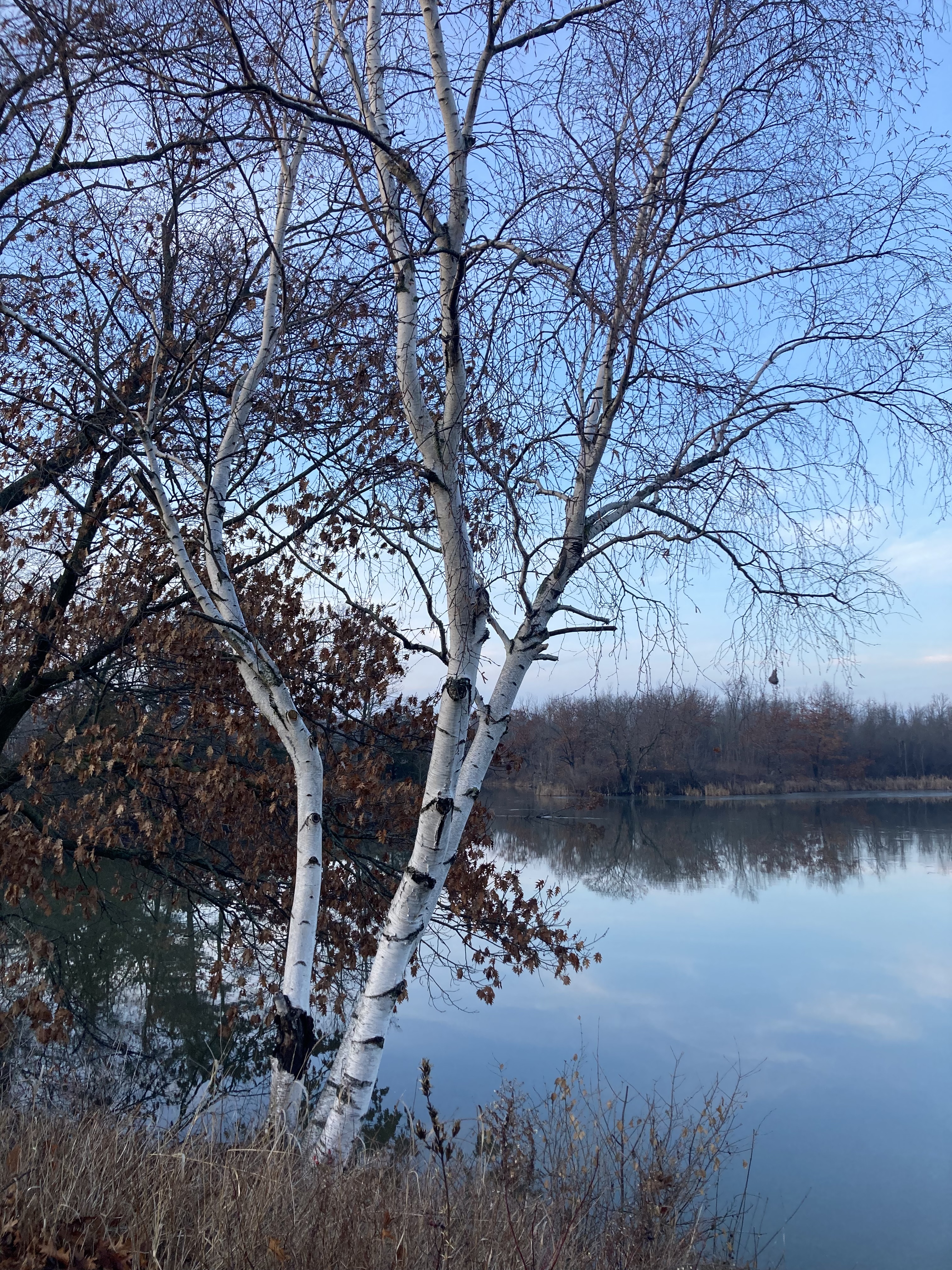 The Riverside Loop trail, Gananoque