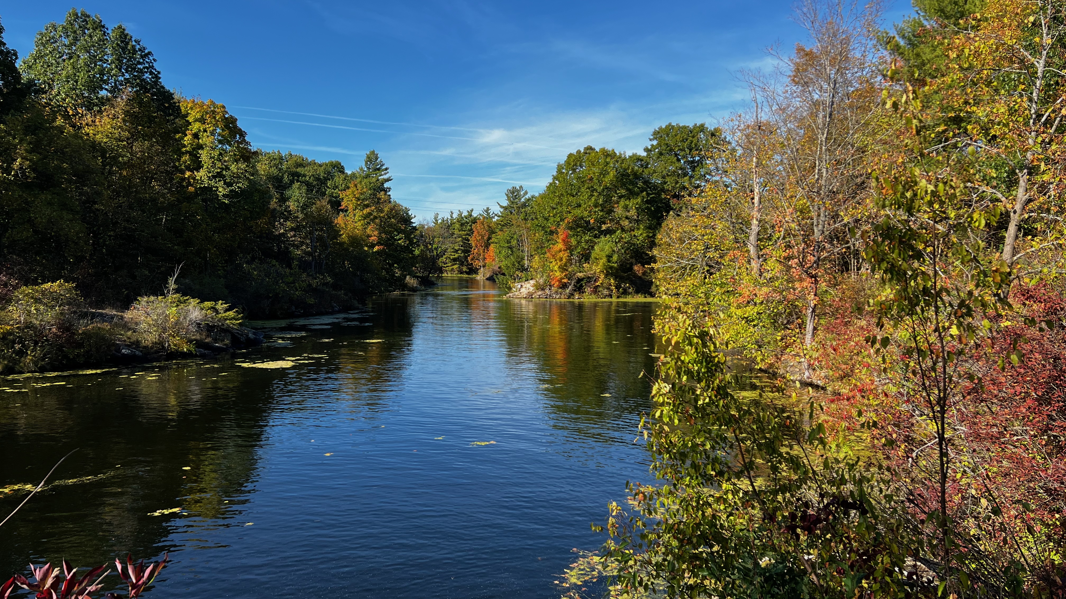 Summer view of the Narrows Loop trail, Gananoque