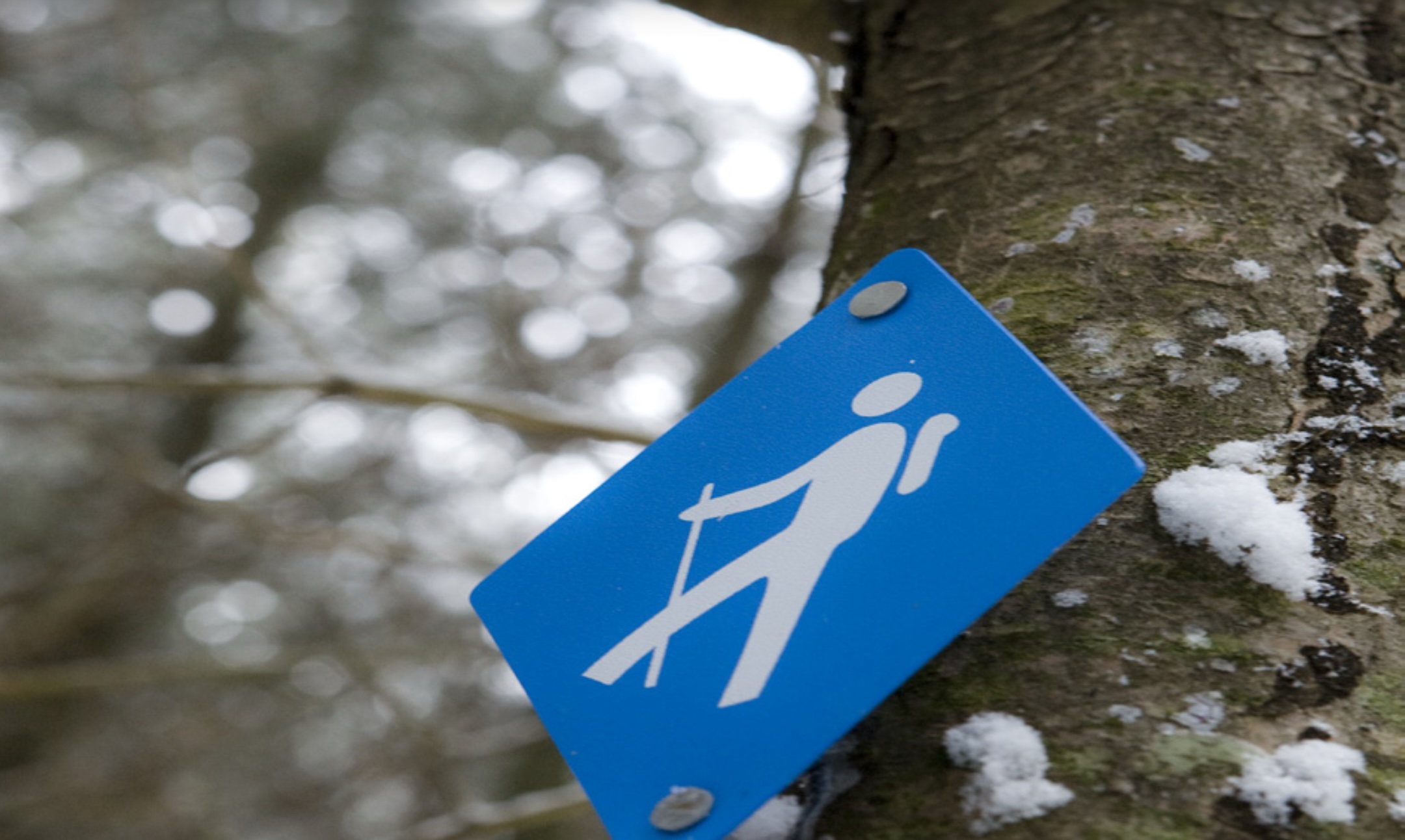 Gananoque trail supporters